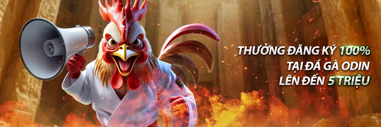 Hình ảnh đại diện 55win55 link vào, nền tảng cá cược trực tuyến uy tín hàng đầu